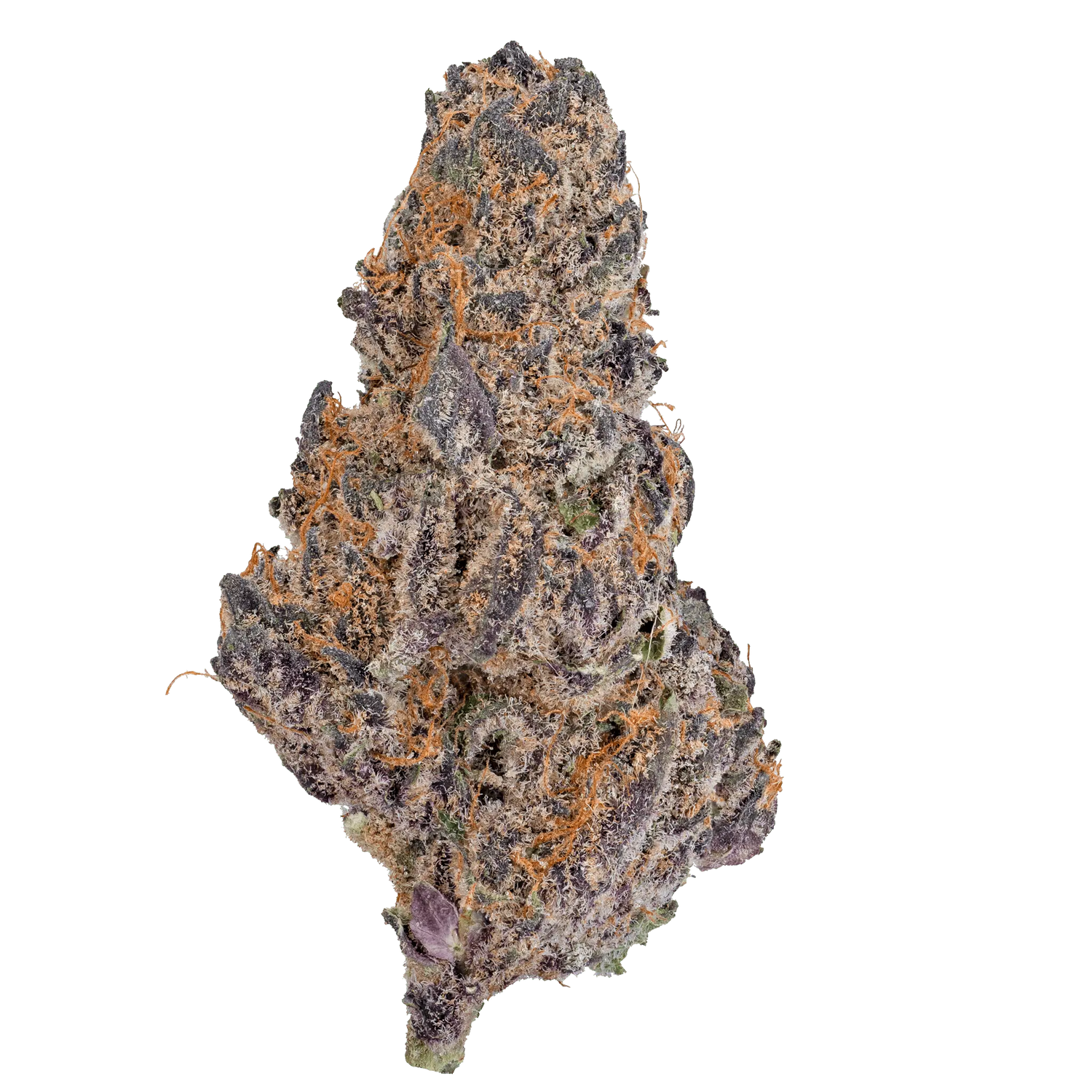 Blue Cherry Gelato