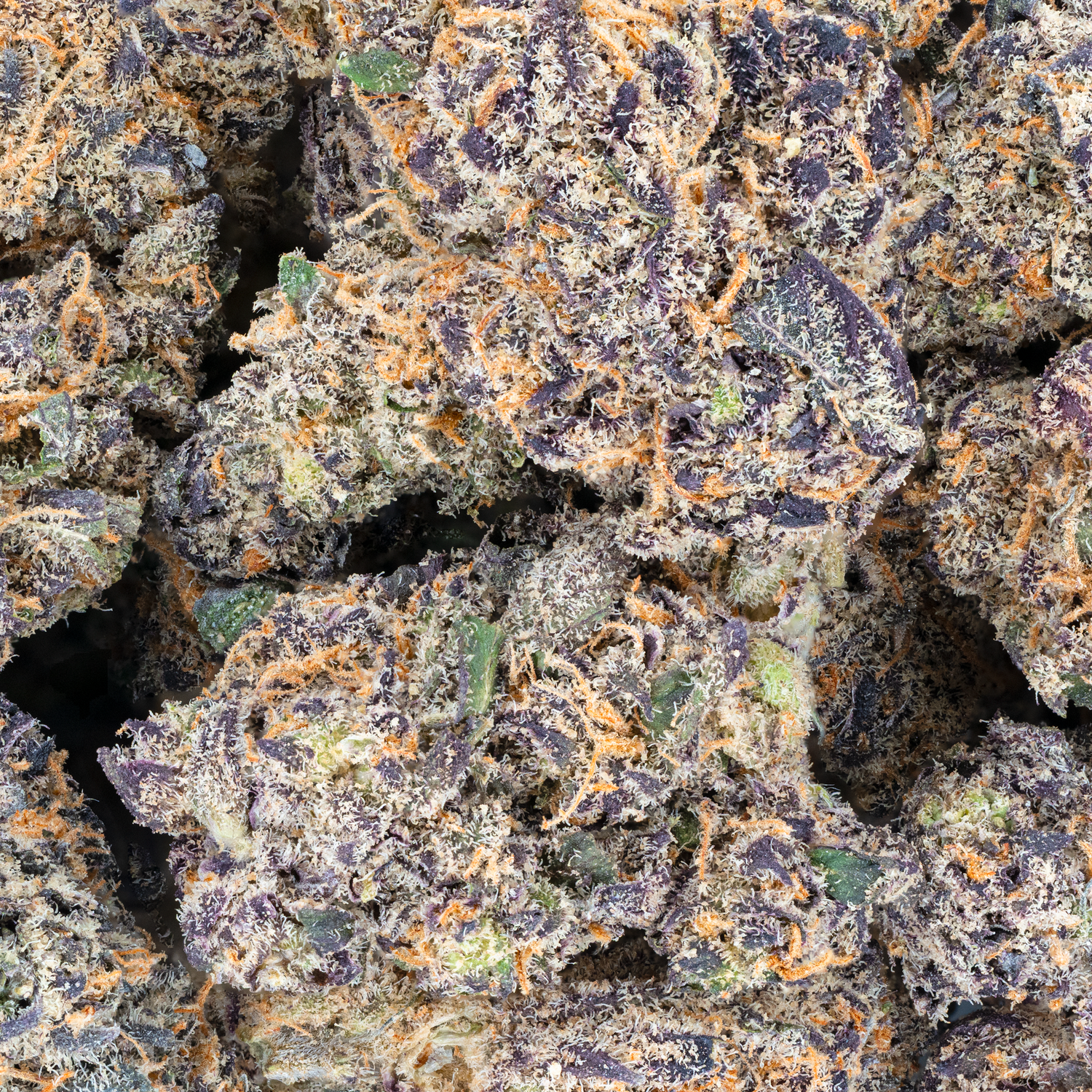 Blue Cherry Gelato