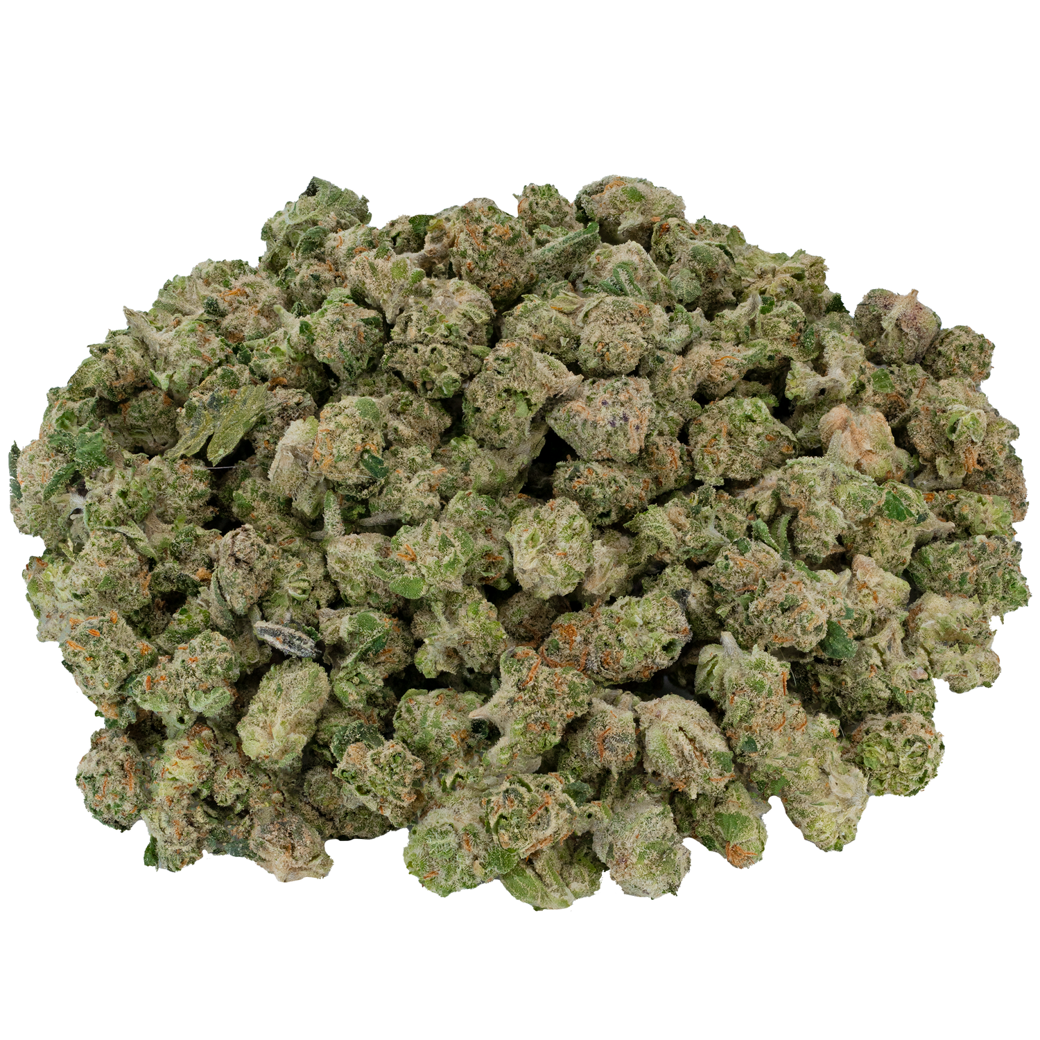 Indoor Micros