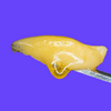 Live Resin & Live Rosin