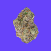 Top Shelf Exotics