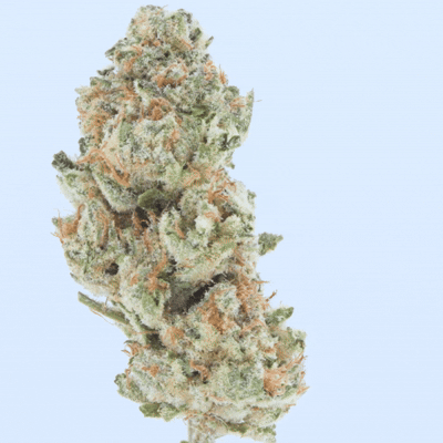 Blue Dream