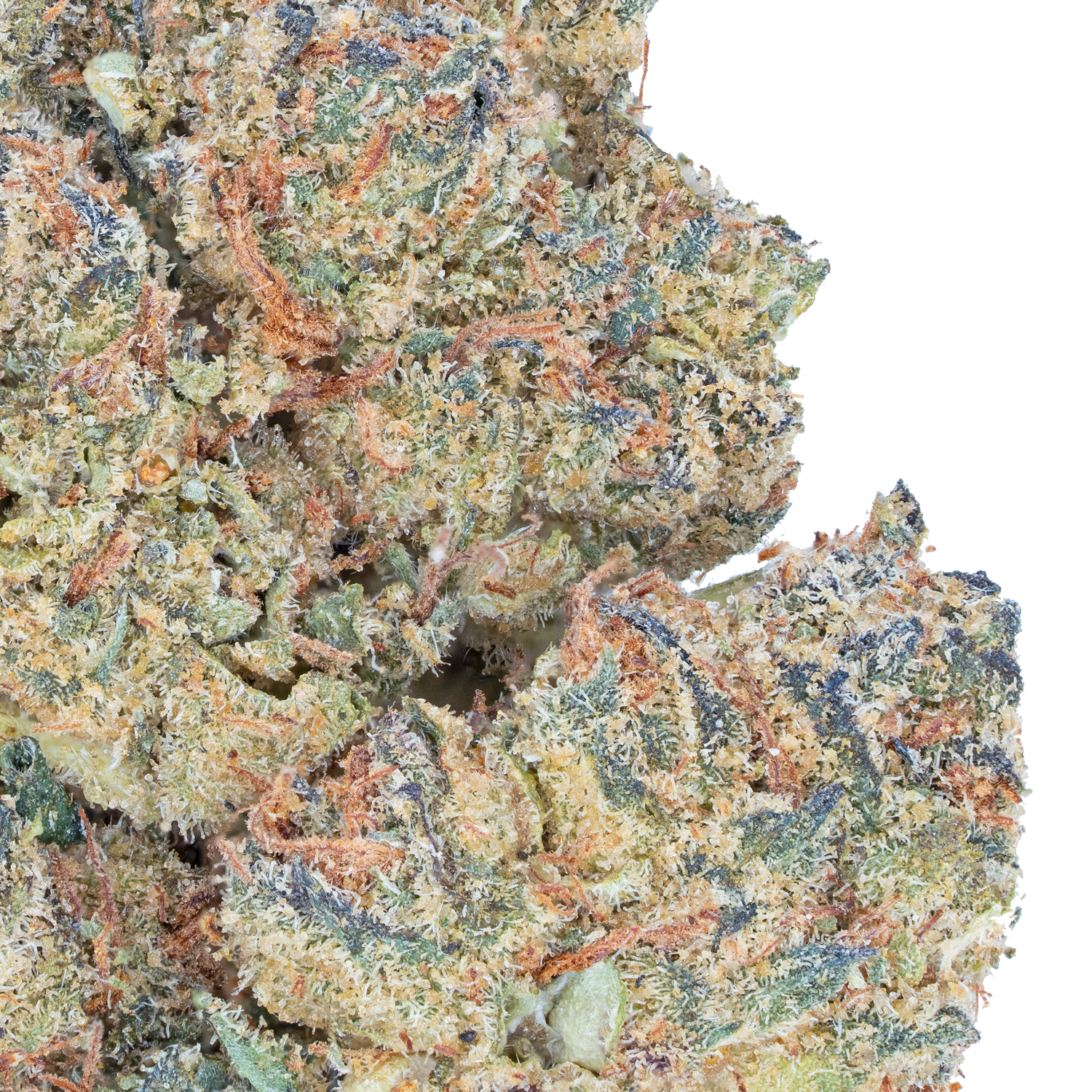 Jolly Rancher