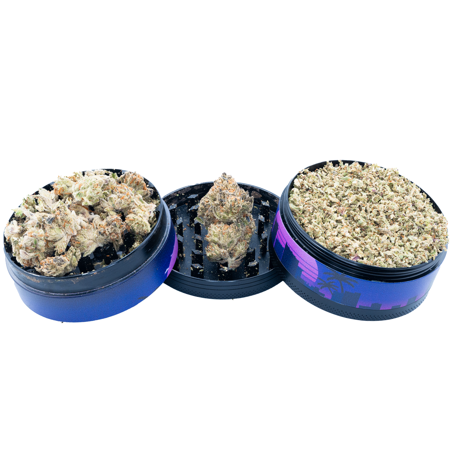 Bulk Discount Indoor Flower