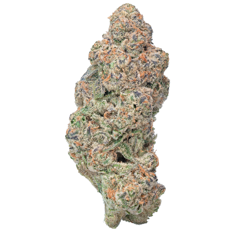 Glitter Bomb Hella Slumped