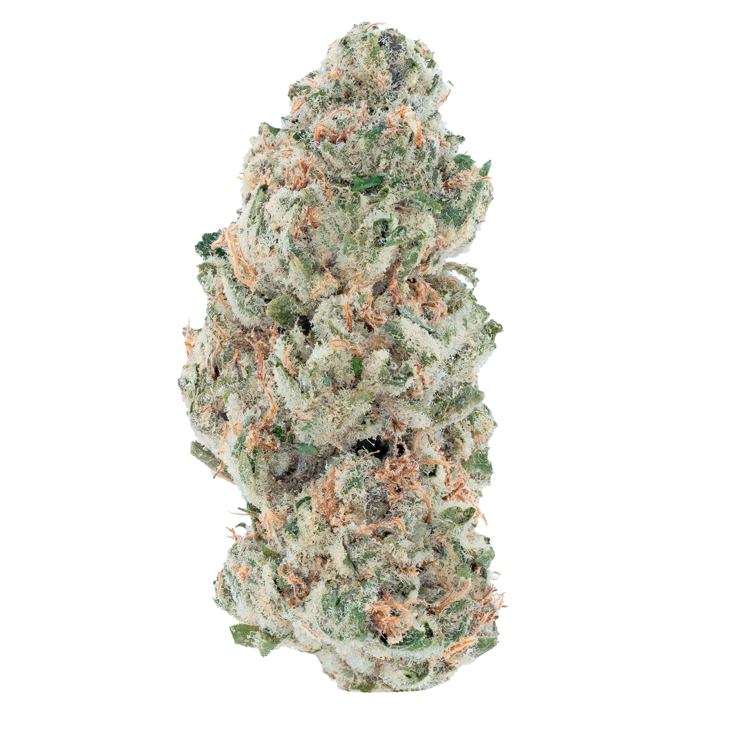Blue Cherry Gelato