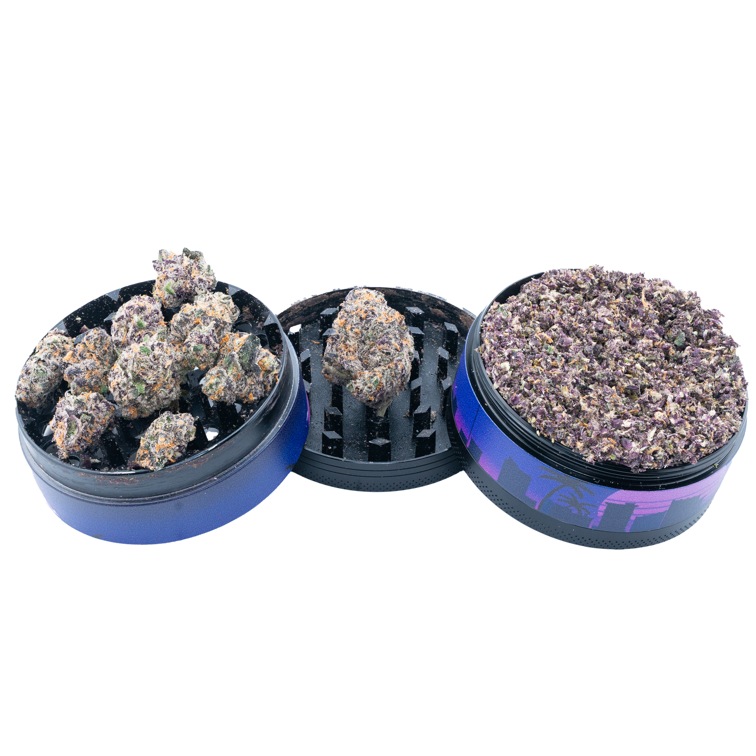 Bulk Exotic Flower