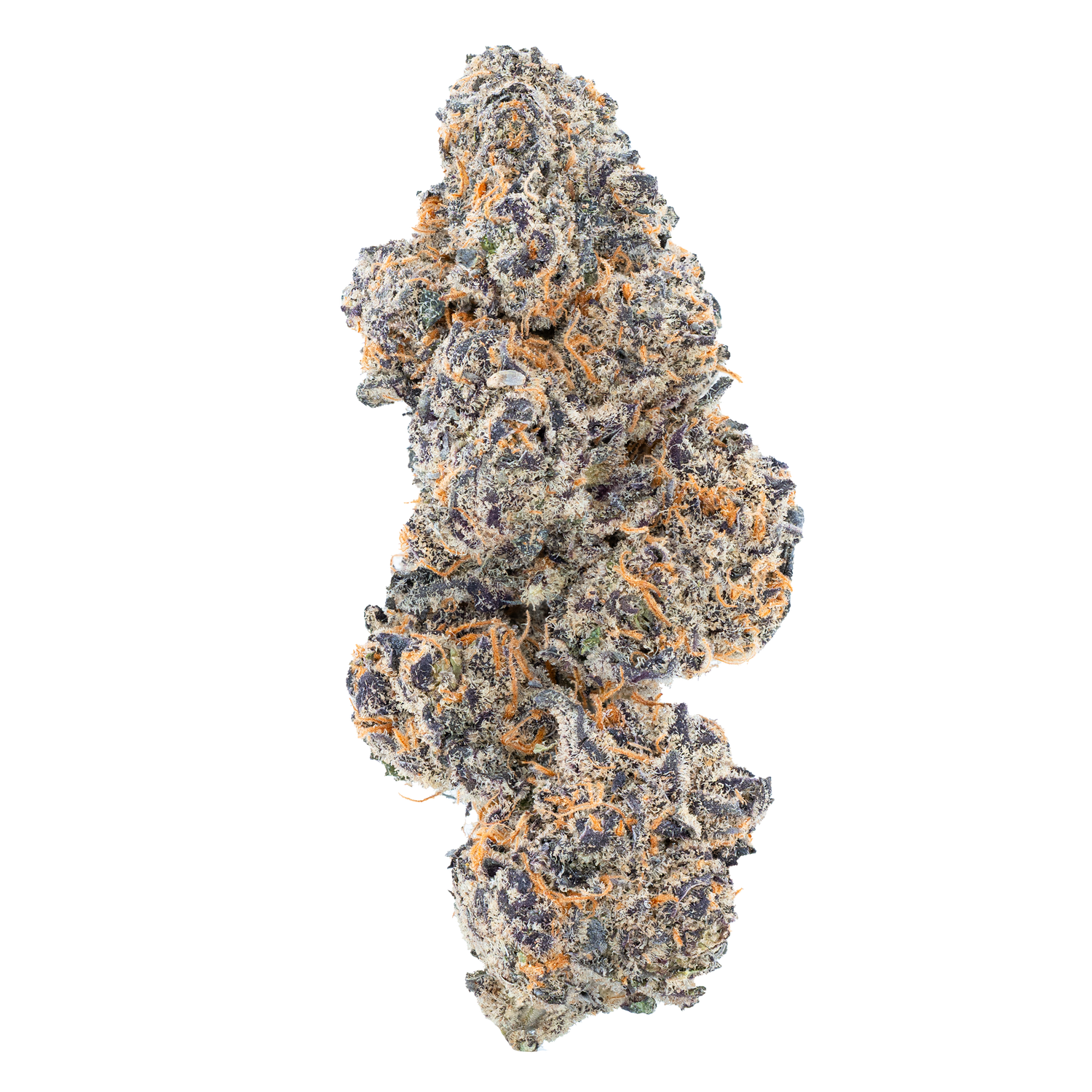Blue Cherry Gelato