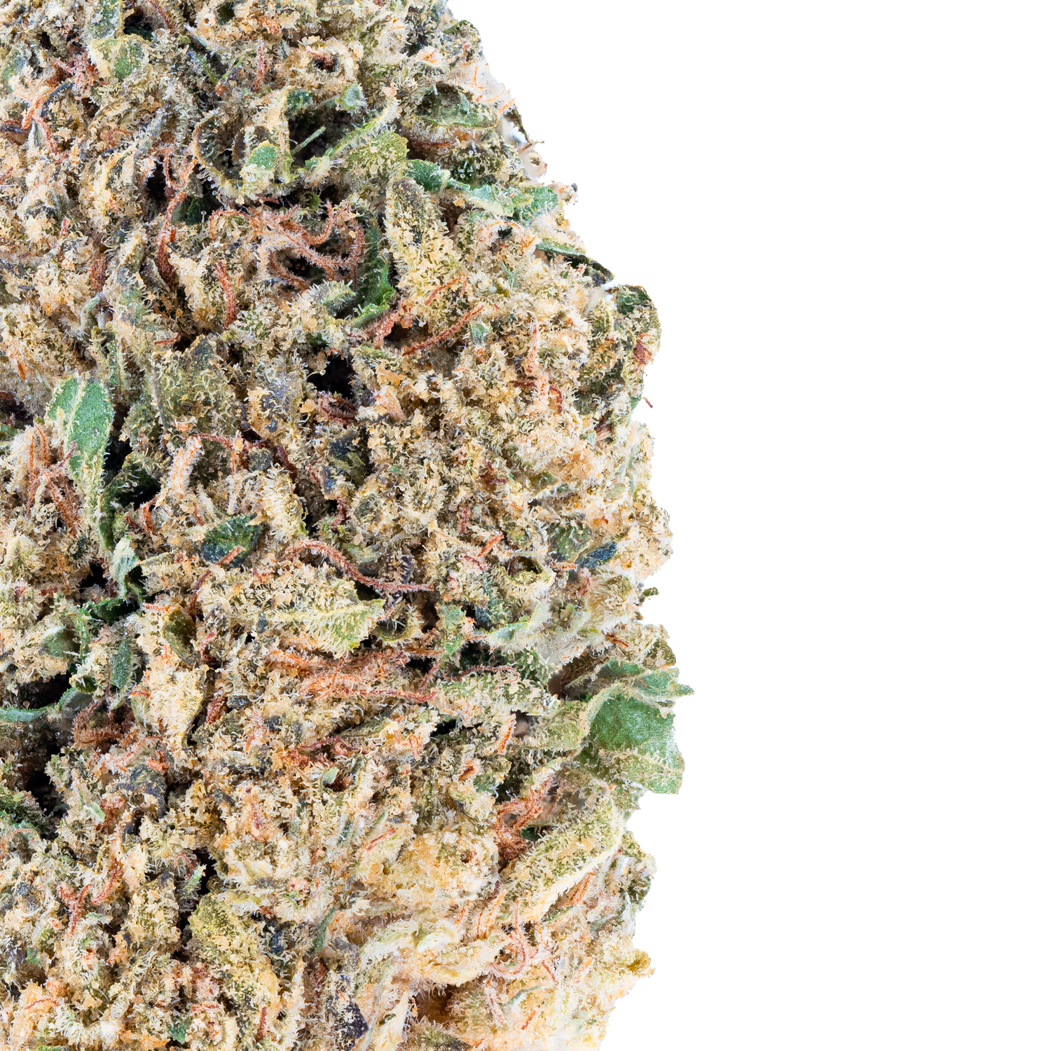 Strawberry Cough