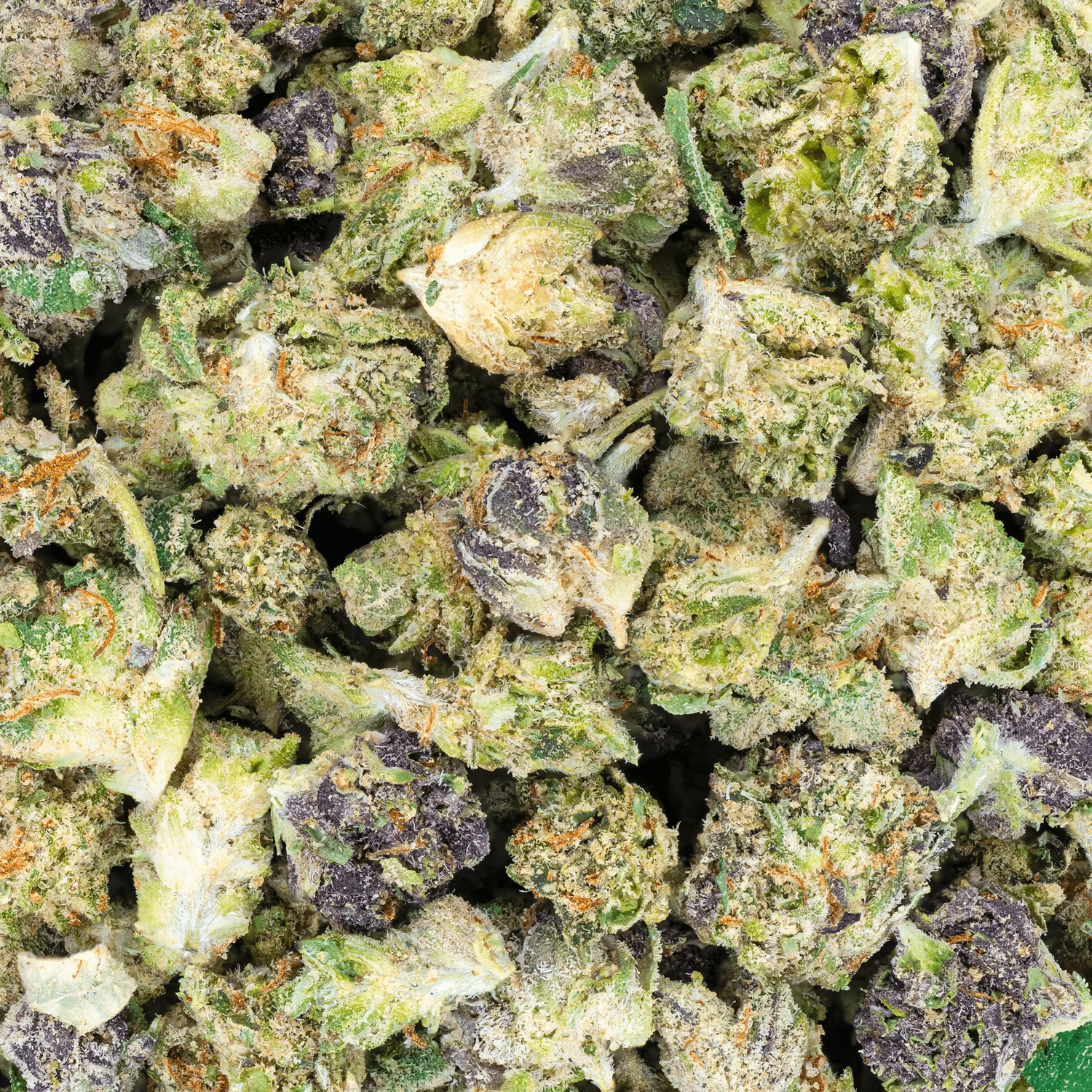 Indoor Micros